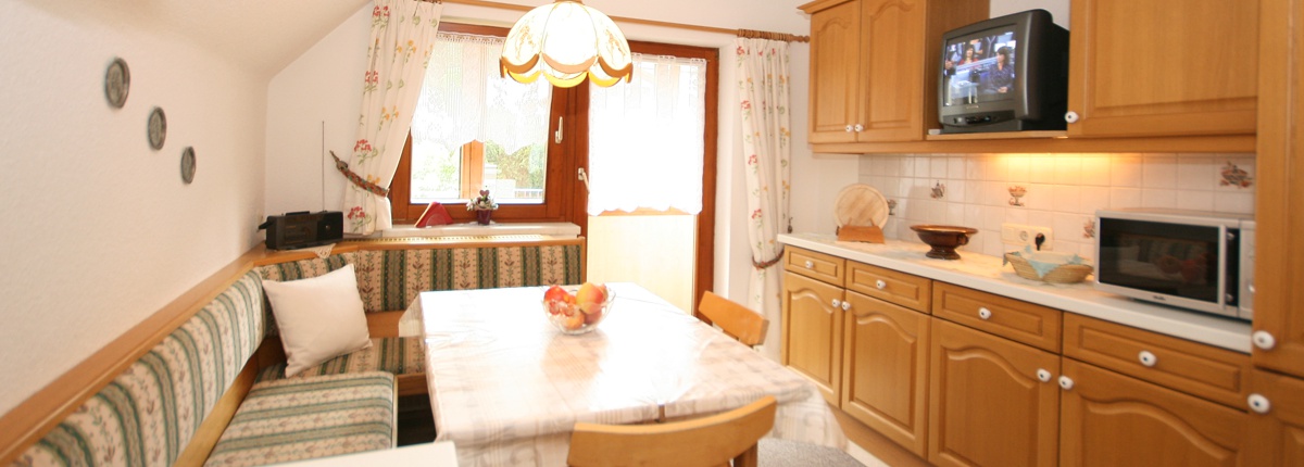 Küche Appartement Haus Meißnitzer, Haus im Ennstal